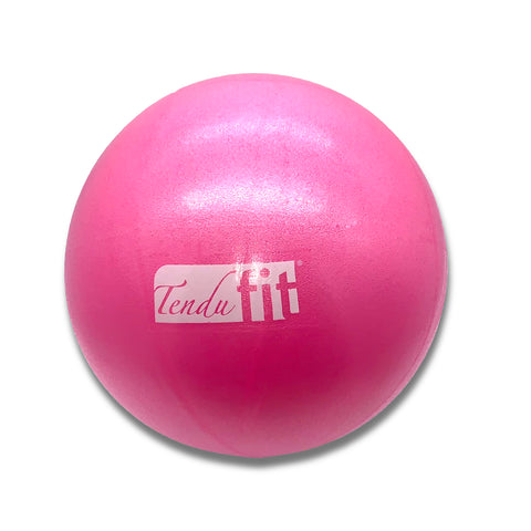T1022- TenduFit  Small Exercise Ball